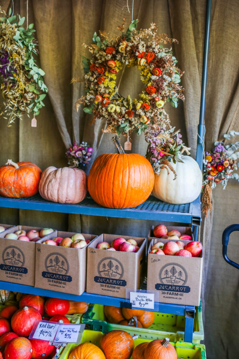 Pumpkins, apples, and wreaths display at 24 Carrot Farm in Apple Hill