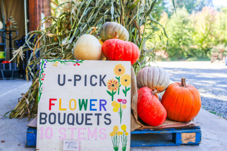 U-pick flower bouquets sign with pumpkins at 24 Carrot Farm.