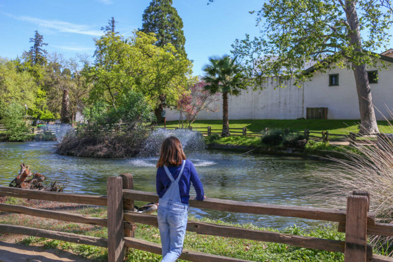 Child overlooking the pond at Fort Sutter State Historic Park in Sacramento, California.